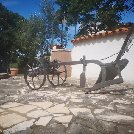 Luna Apartman Šajini